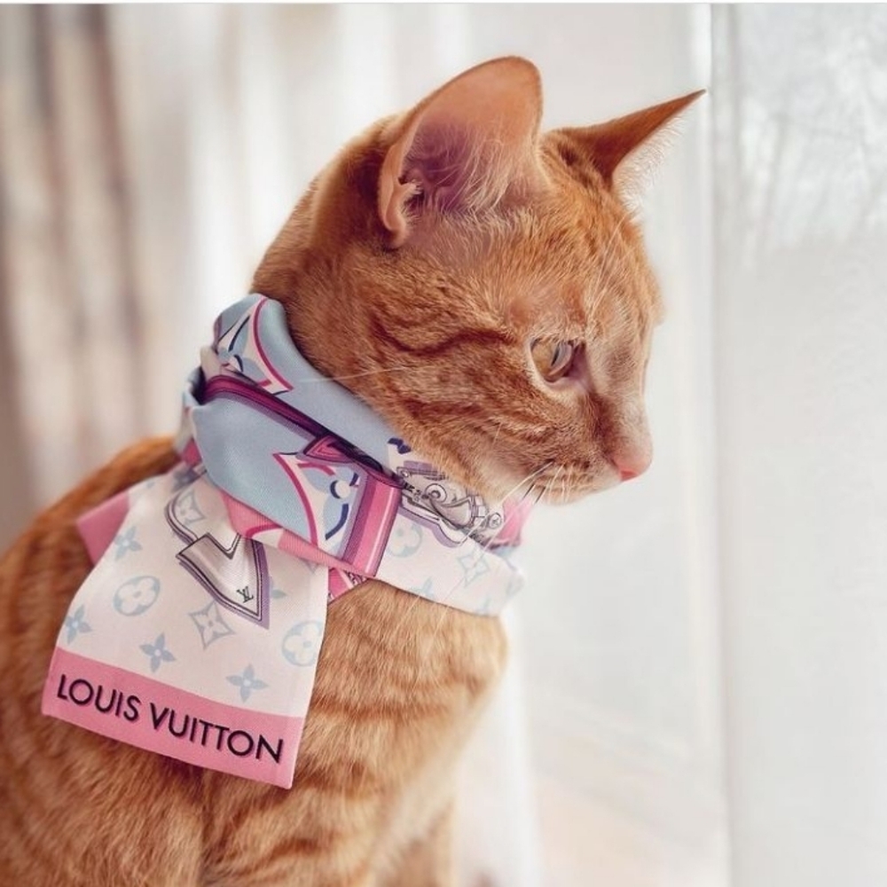 Meet your Posher, Toni